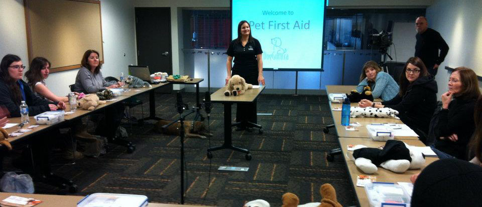 Pet First Aid Course Pet First Aid