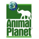 Animal Housecalls on Animal Planet