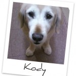 Kody