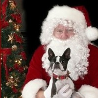 Holidays From Our Pets’ Perspective:  Insights For Keeping This Time Enjoyable For Everyone